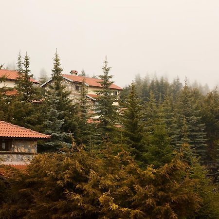 Domotel Neve Mountain Resort Agios Athanasios  Exterior foto